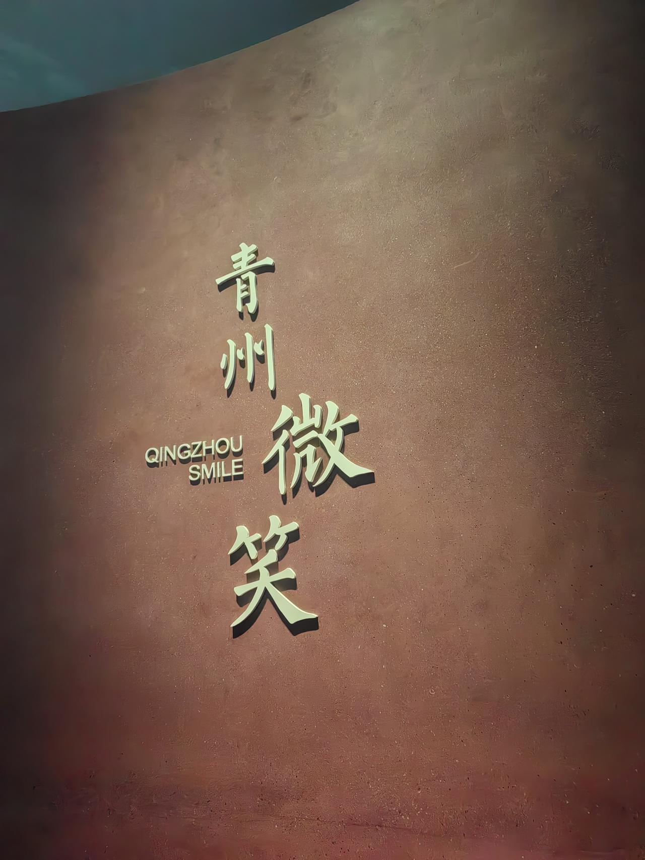 昨晚怕旅馆有蜱虫，为了健康，冲动之下，想不参观青州市博物馆了，连夜去淄博市人民医