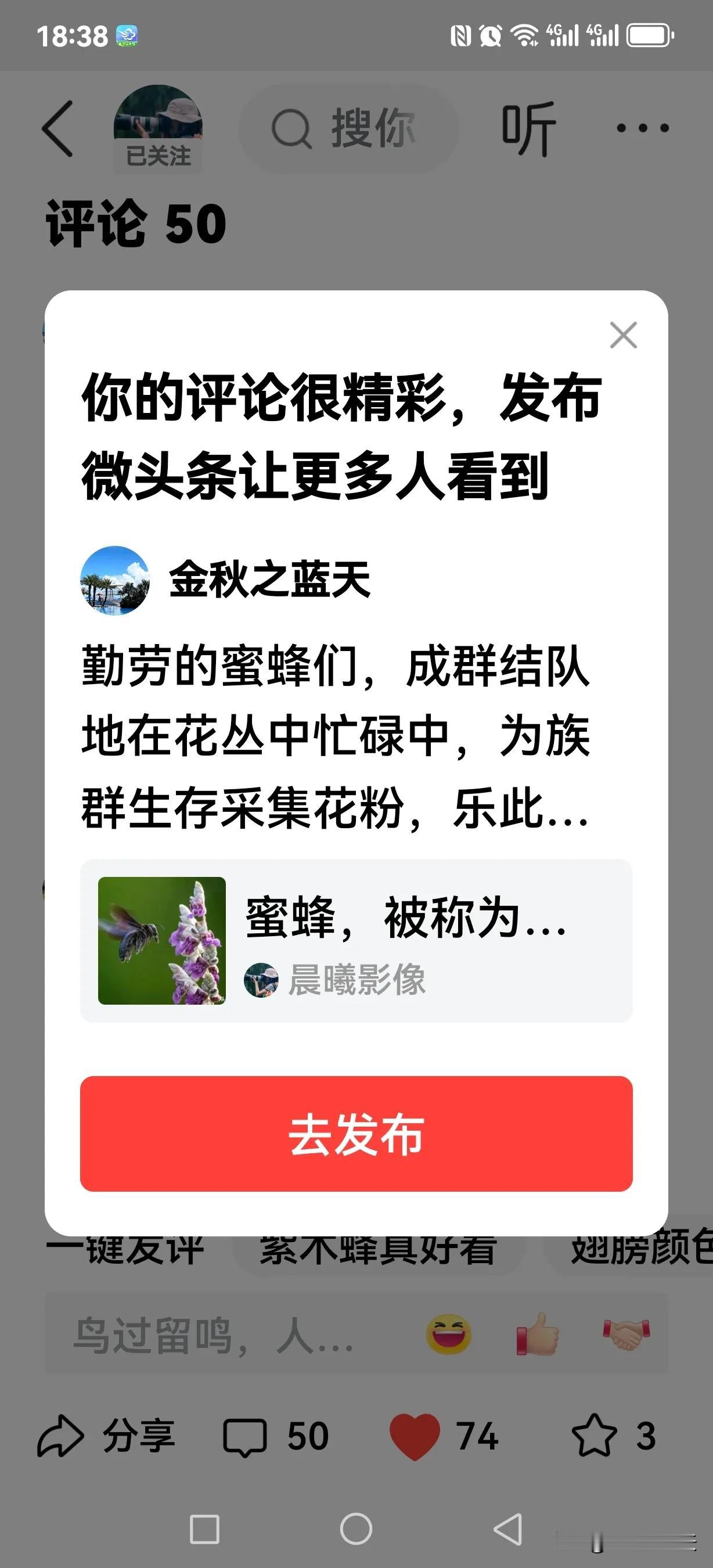 勤劳的蜜蜂们，成群结队地在花丛中忙碌中，为族群生存采集花粉，乐此不彼！
友友美拍