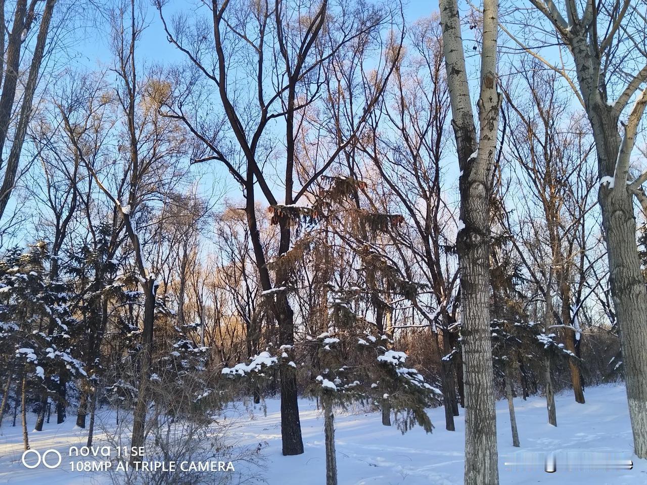 爆料 雪