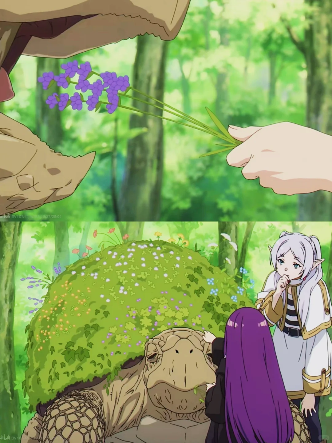 哭蹲第二季‼️9.5分神番⚠️后期包美妙的…😭