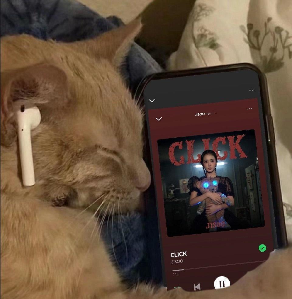 积分别放弃，晚上睡的时候记得挂着电台，如果有新账耗就换新的Spotify账耗听