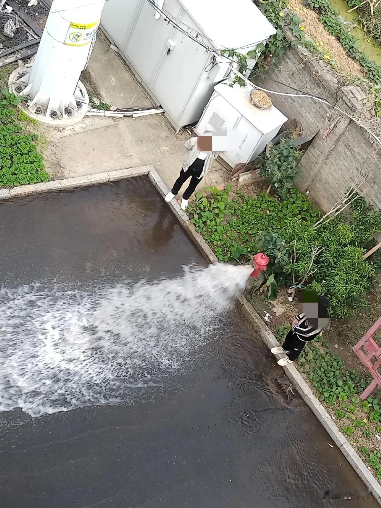 那个老头子我看了都讨厌。
我上街买菜回来了发现俺家车在楼下停着，大电动车不见了，