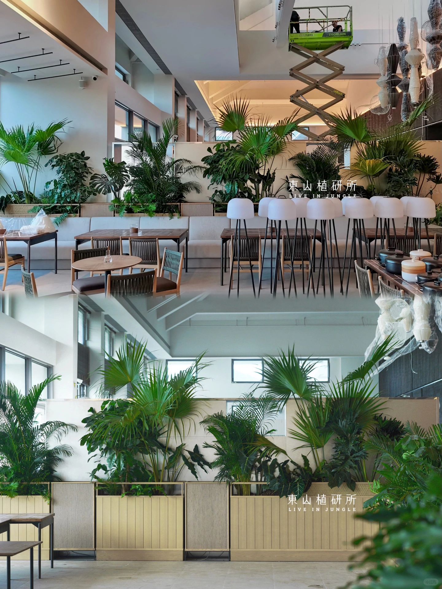 绿植软装|简约热带风 森系会所空间🌴