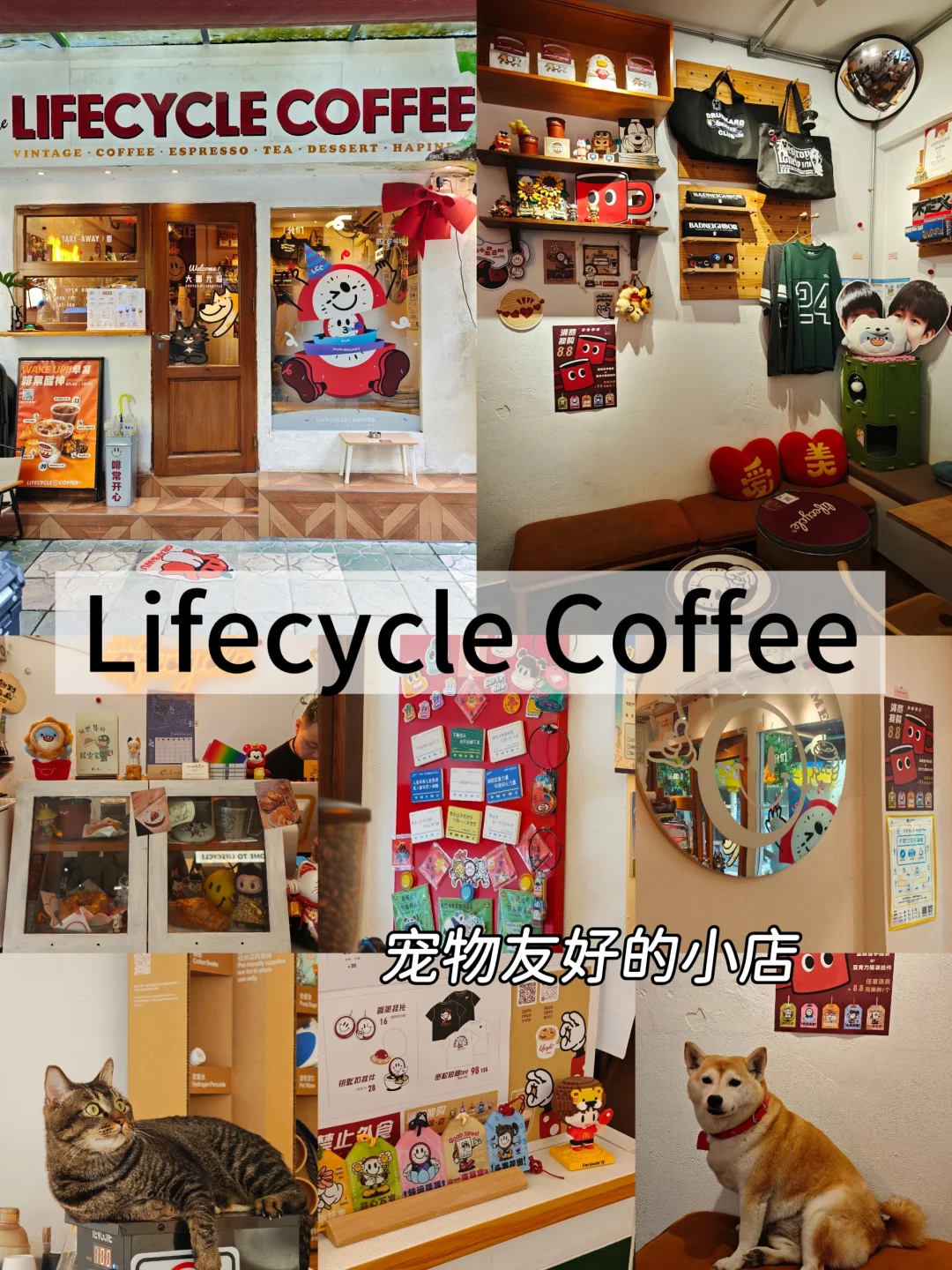 广州！荔湾！特调好好喝！Lifecycle Coffee