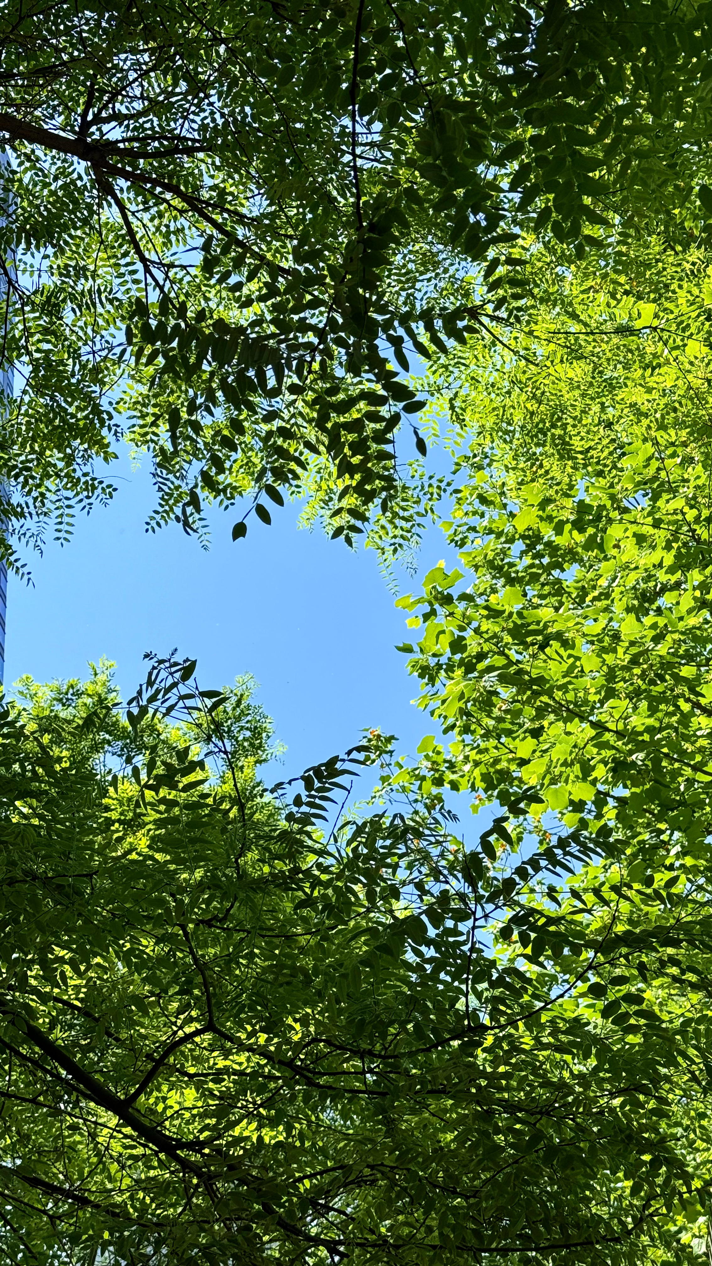 太懂事把体面留给别人，把委屈留给自己太能干扛着别人的担子，忘了自己的极限想太多用