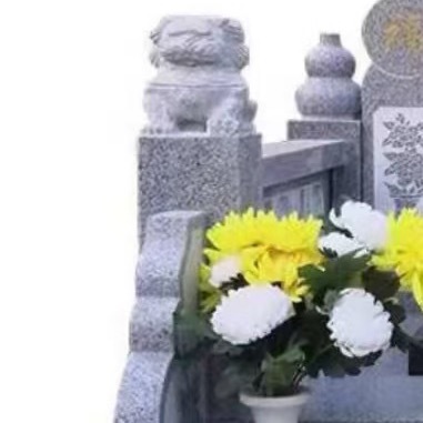 0000栀子花的种植方法：1. 选苗与土壤：挑选枝叶健壮、无黄叶无虫害的栀子花苗