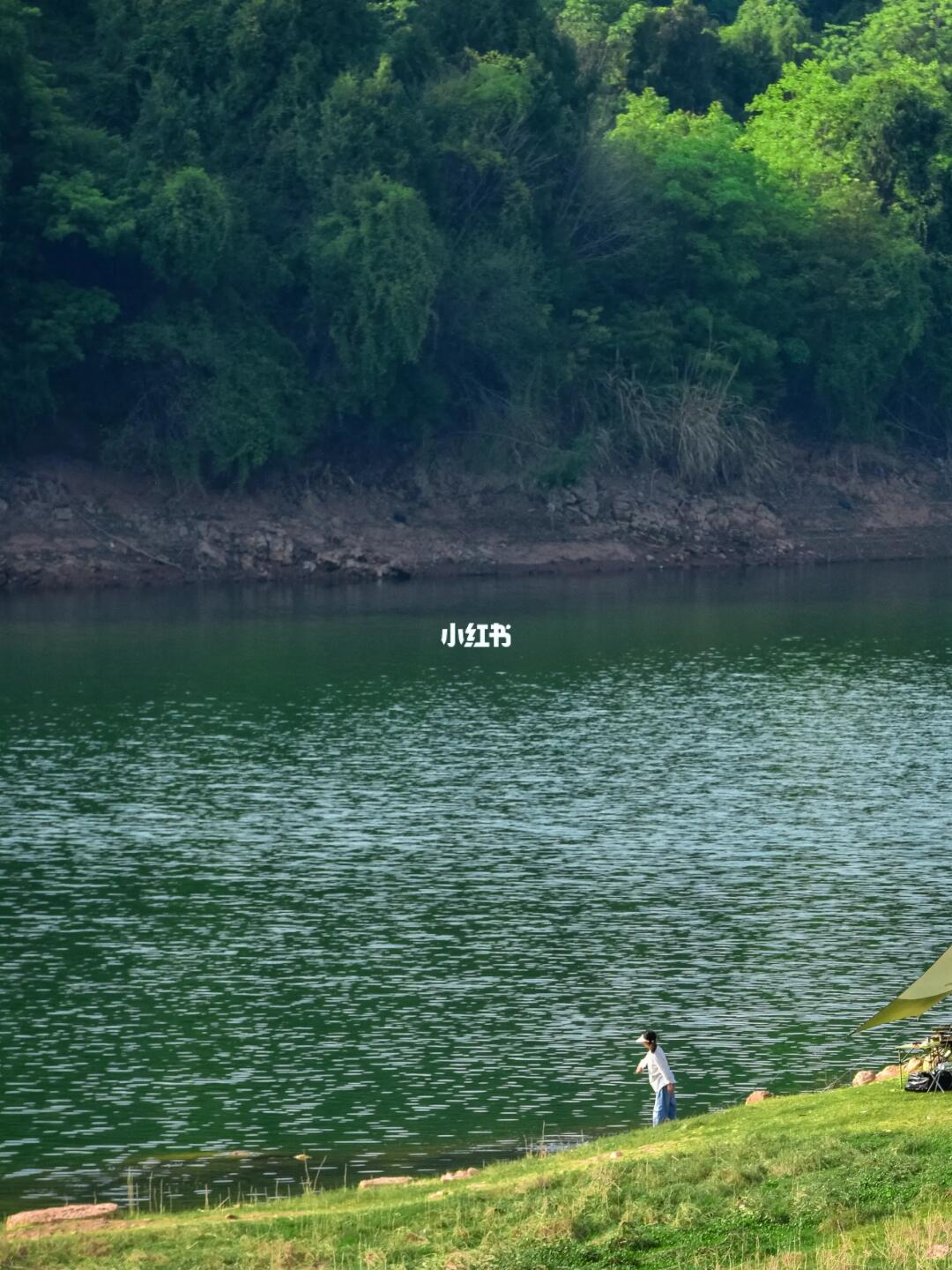 成都1H直达江南风露营地🏕小众免费太哇塞