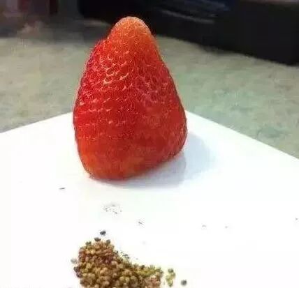 草莓吃起来真麻烦，为什么那么多人喜欢吃？ 