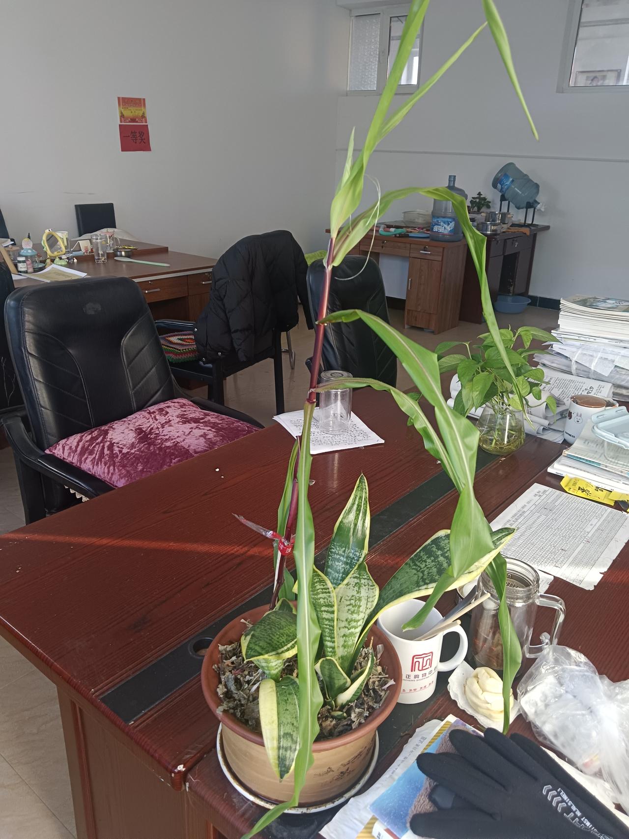 阳虚睡不醒
阴虚睡不觉
气虚易惊醒
血虚做恶梦
血热长痘痘
血燥浑身痒
血淤身上