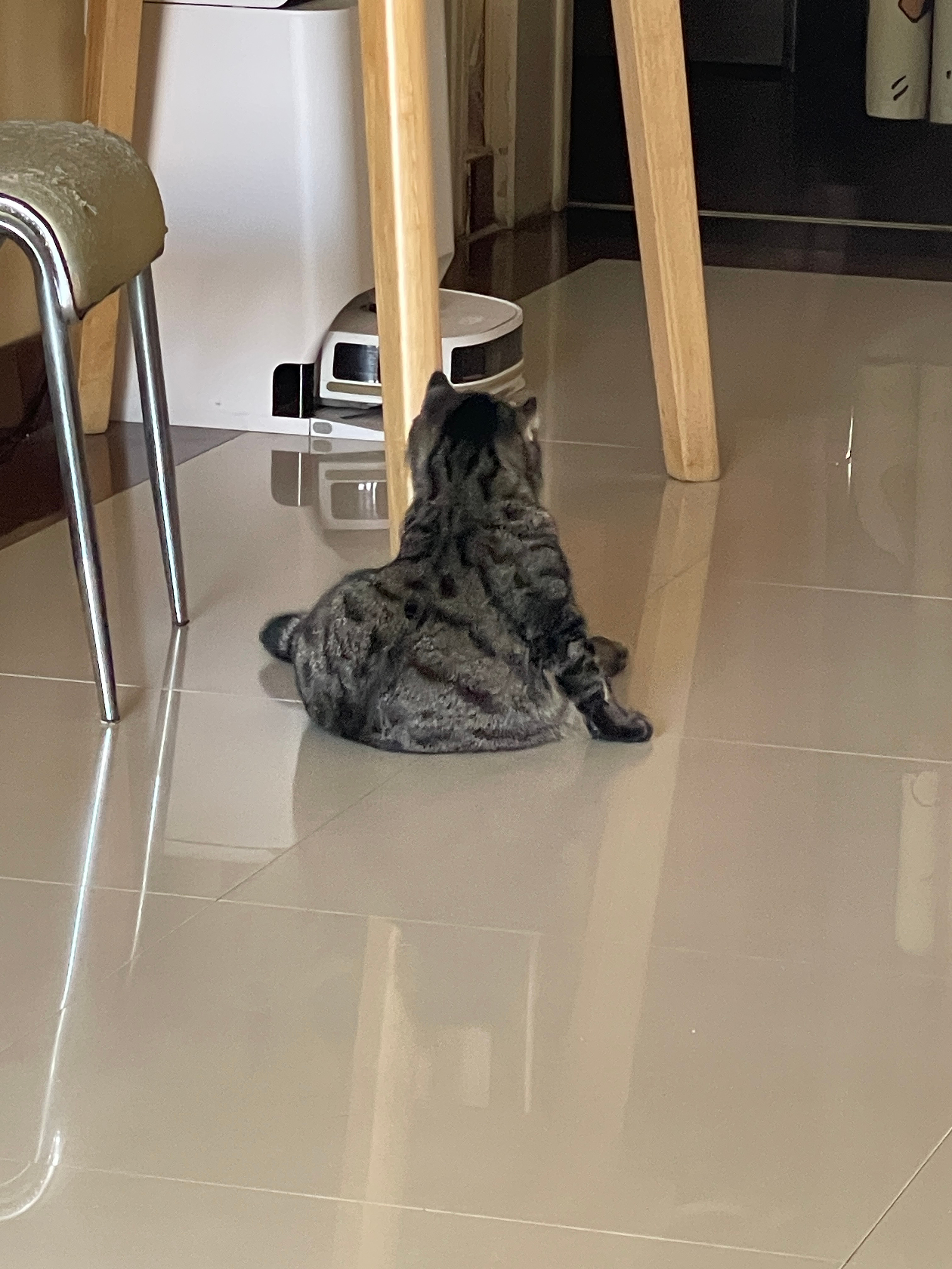 背影都很小只 ​​​