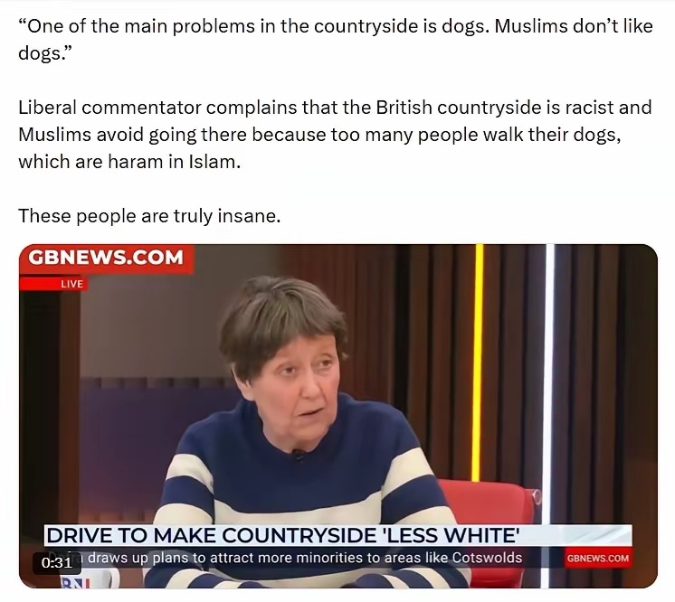 “乡村地区的主要问题之一就是狗。穆斯林不喜欢狗。”英国一位自由派评论员抱怨说。 
