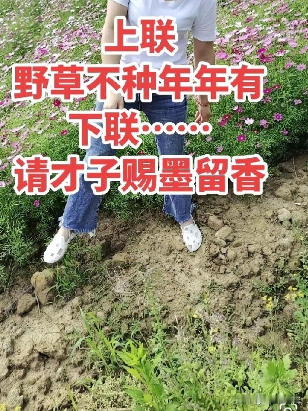 这个肚子没点墨水，真对不上来，不信都来试试吧

上联：野草不种年年有
下联：？？