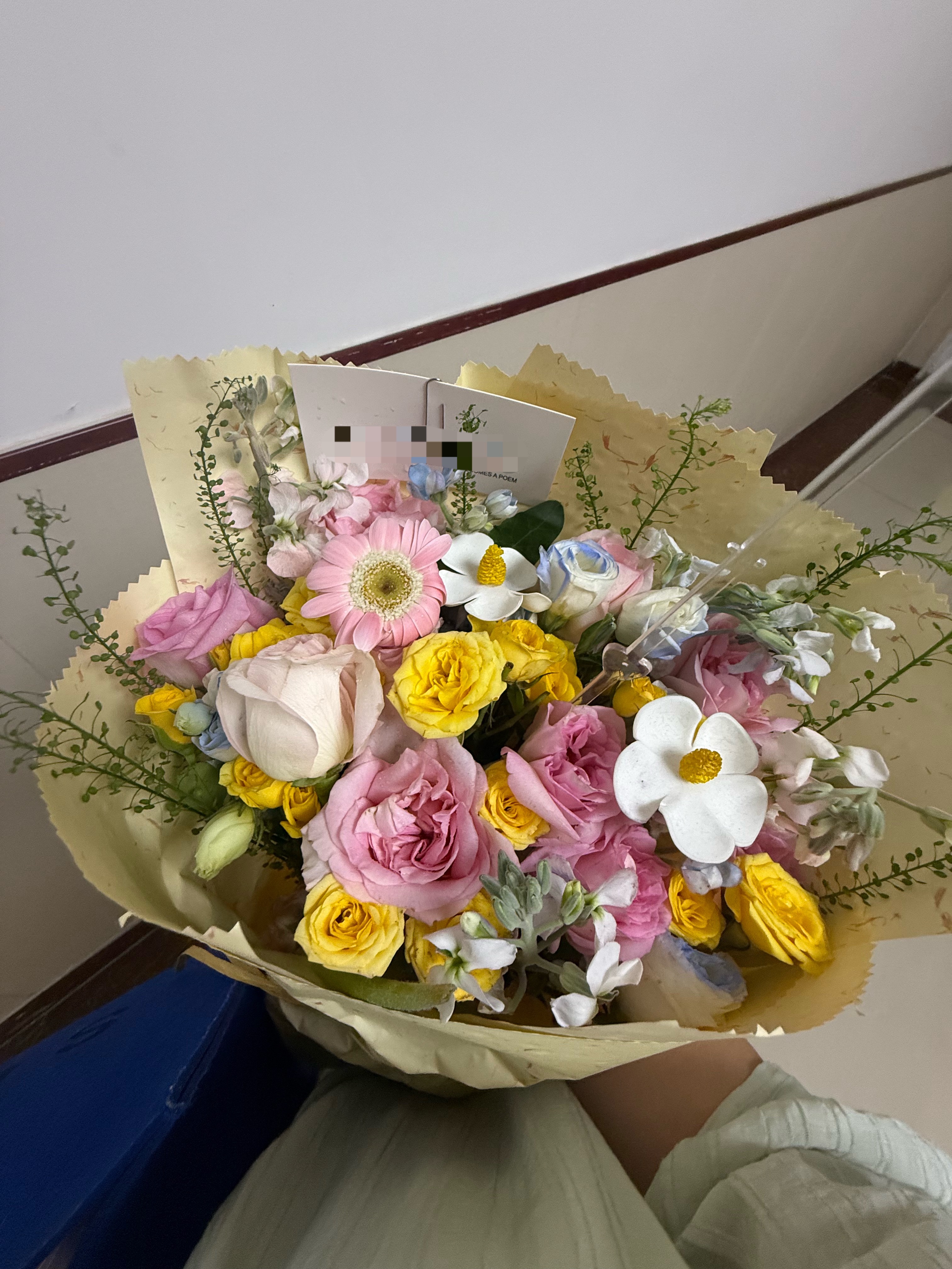 恋人怀中樱花草～ 