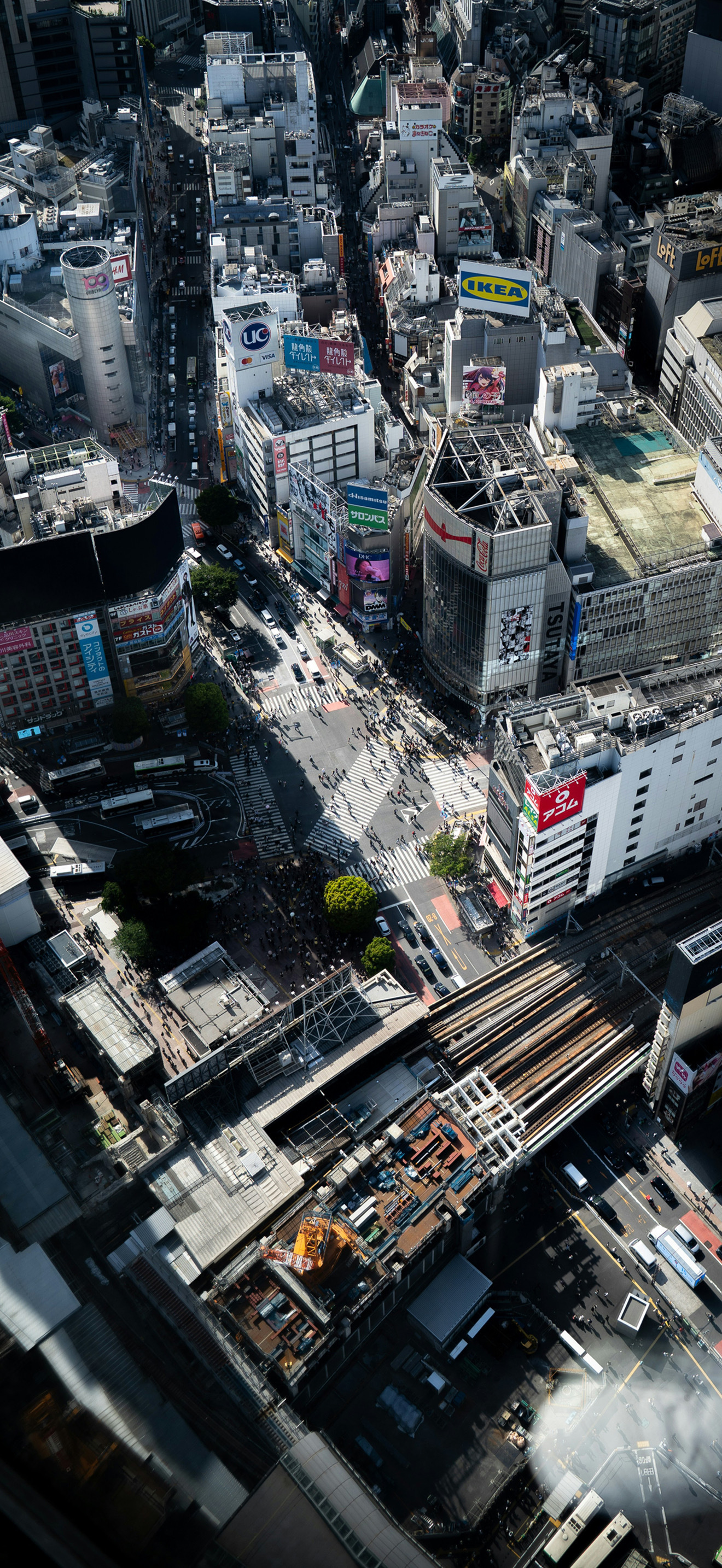 城市街景 