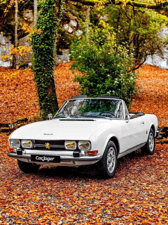 1973 Peugeot 504 Cabriolet流动线条、铬合金装饰、敞篷的