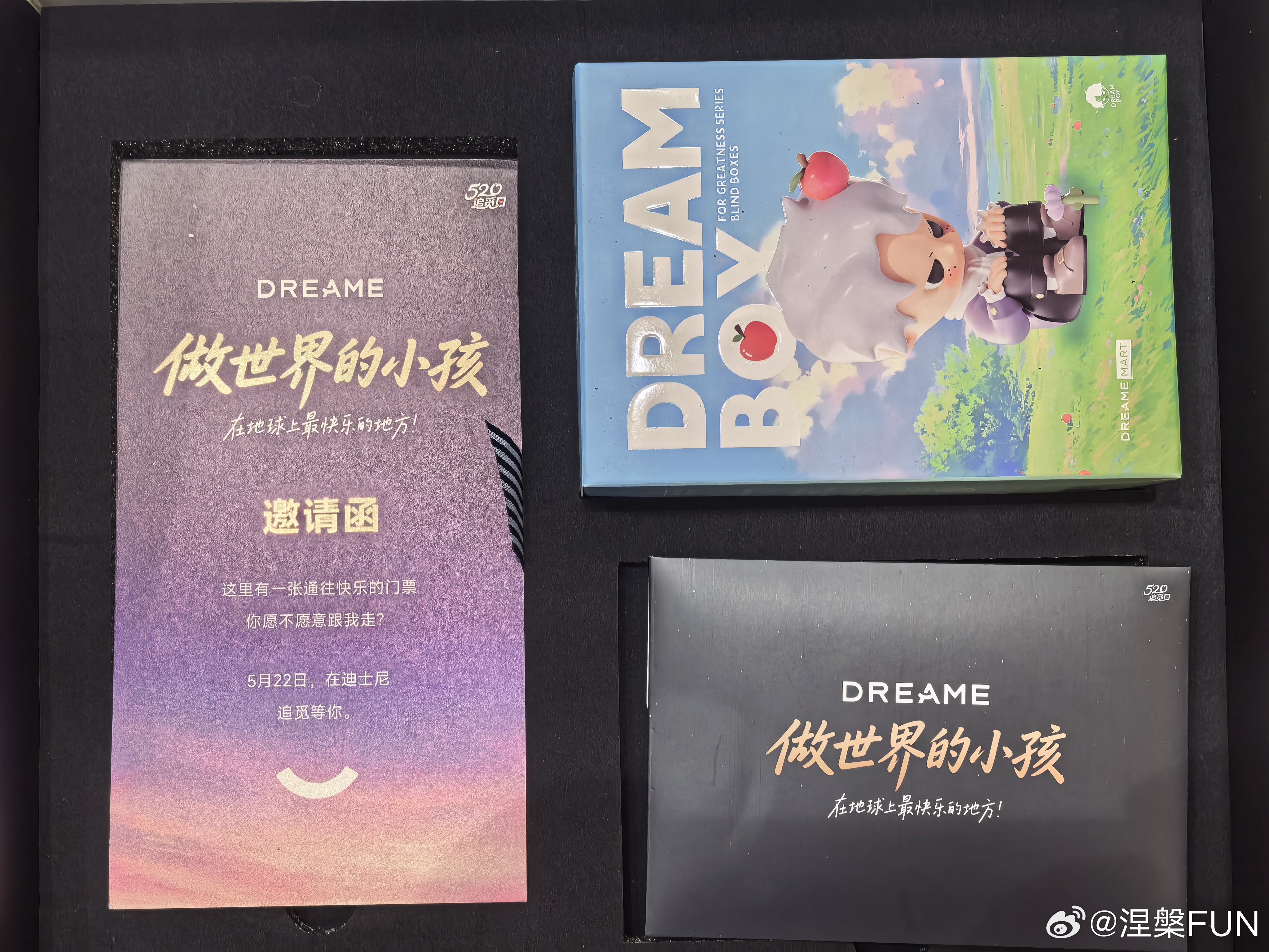 谁在孩子的时候没有一个梦想？今天去上海，就要去做一个世界的小孩，参加追觅的迪士尼
