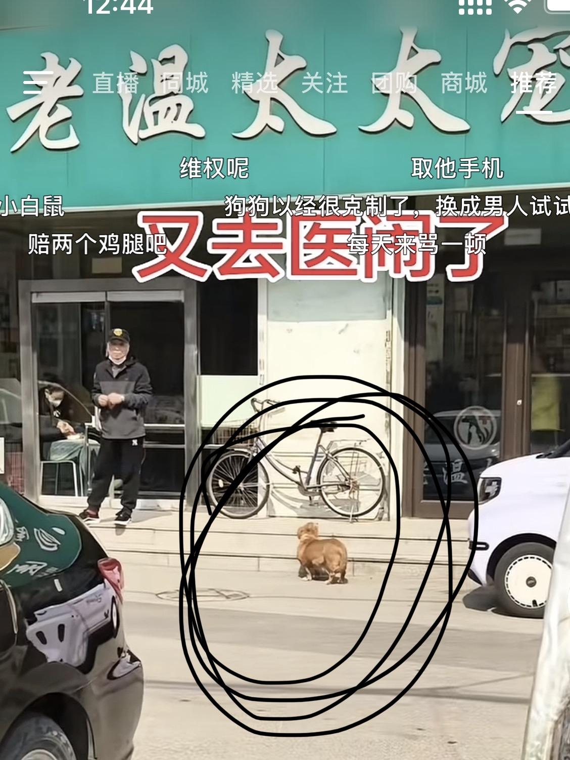 哈哈哈哈，我要喷了，这也太可爱了吧！这只狗狗八年前在这家宠物医院卸了QQ！从此就