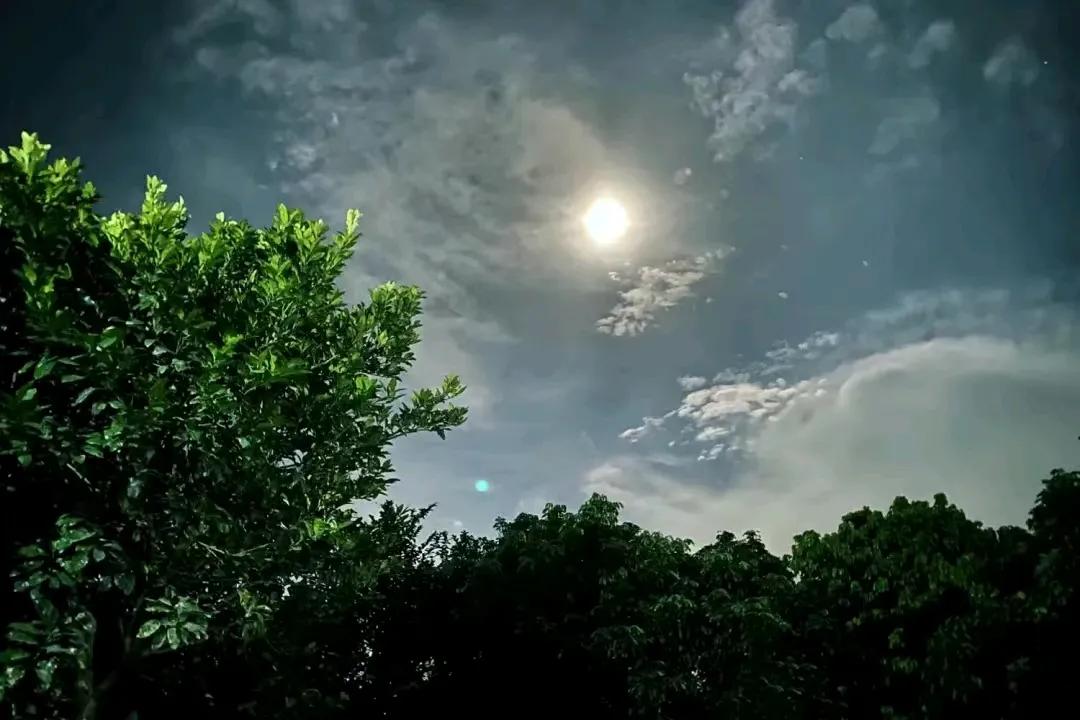 
                  《凉夜又秋分》
             