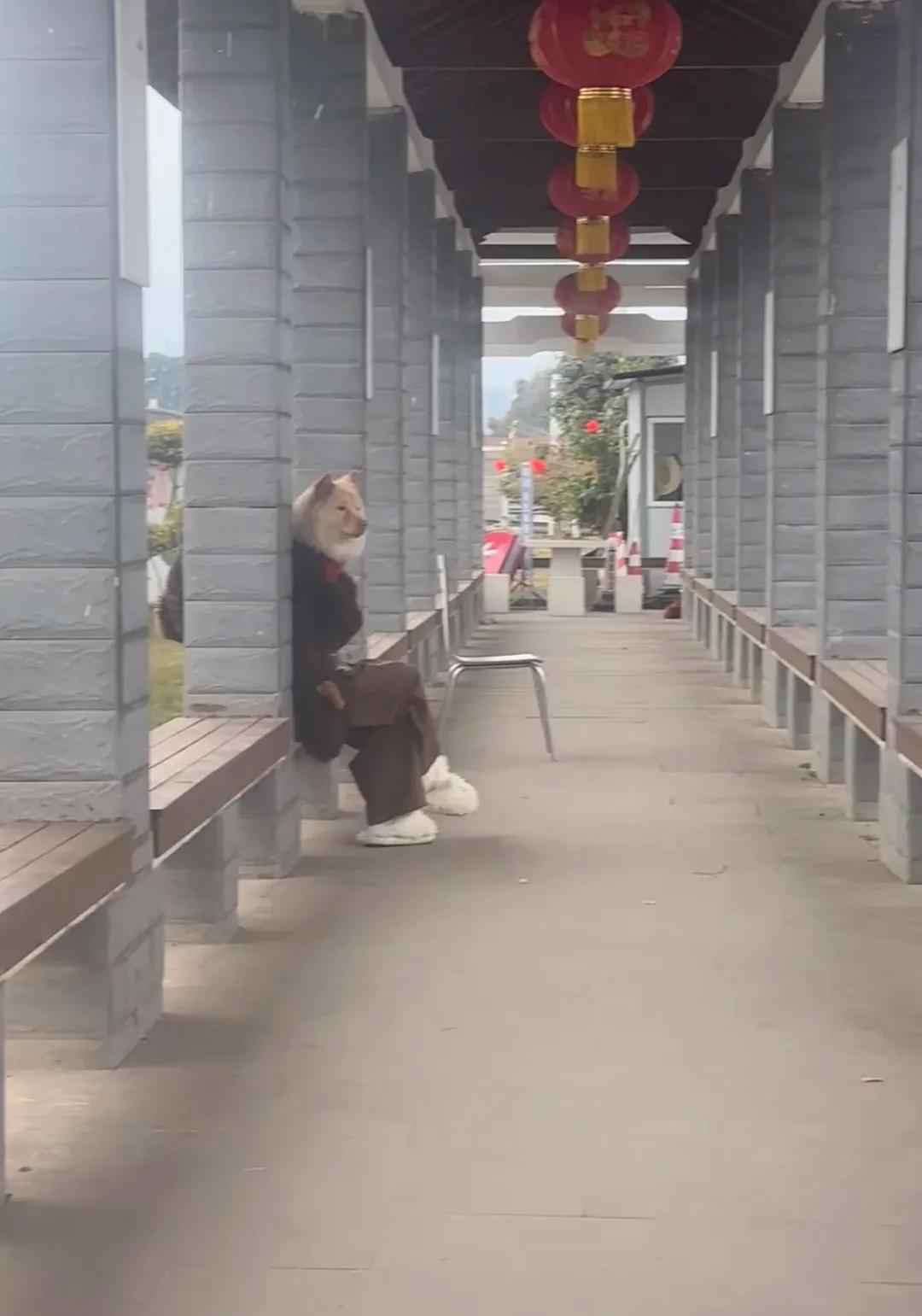 谁再说我不会拍照我跟谁急！
服务区休息，一抬头就看到了这搞笑的一幕，还搭配着毛茸