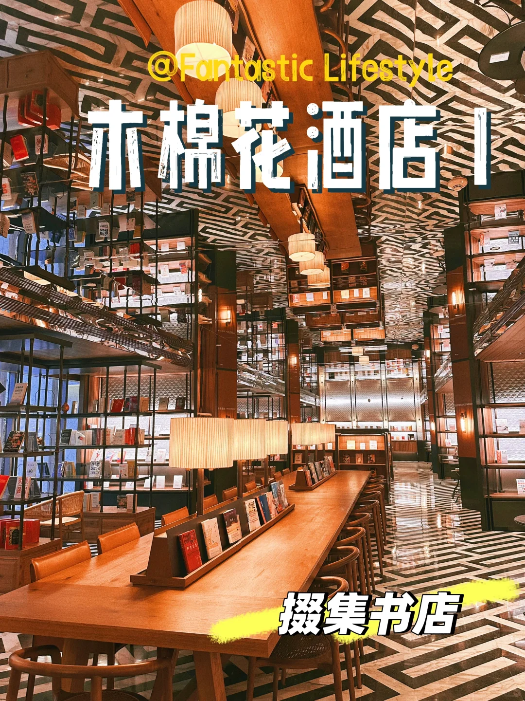 2025我最喜欢的图书馆出现了｜掇集书店