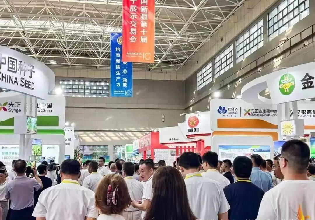 种子是农业的“芯片”！8月6日-8日，2026中国新疆第十一届种子展示交易会将在