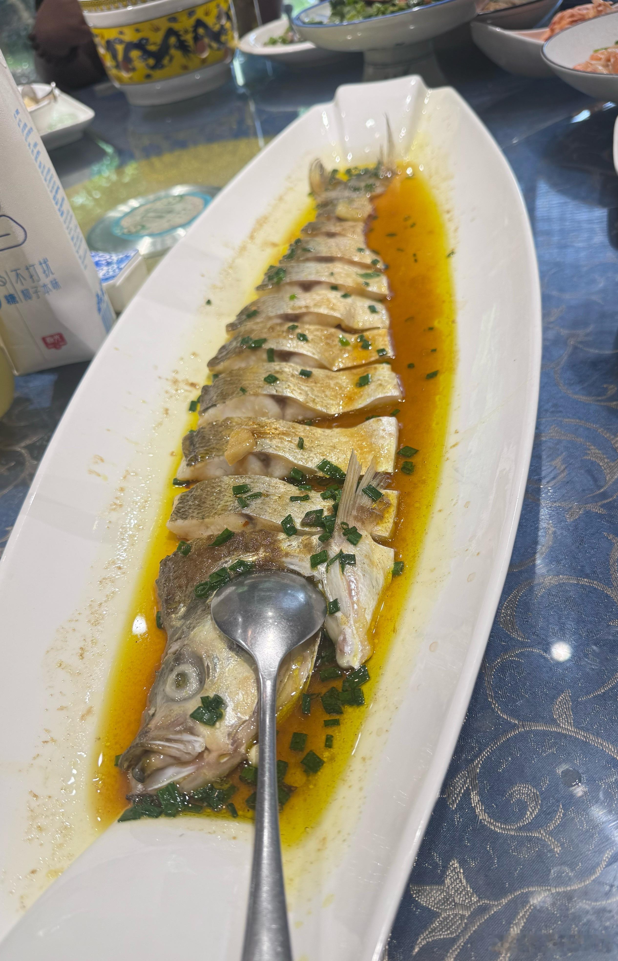 日常[超话] 好长一条🐟 ​​​
