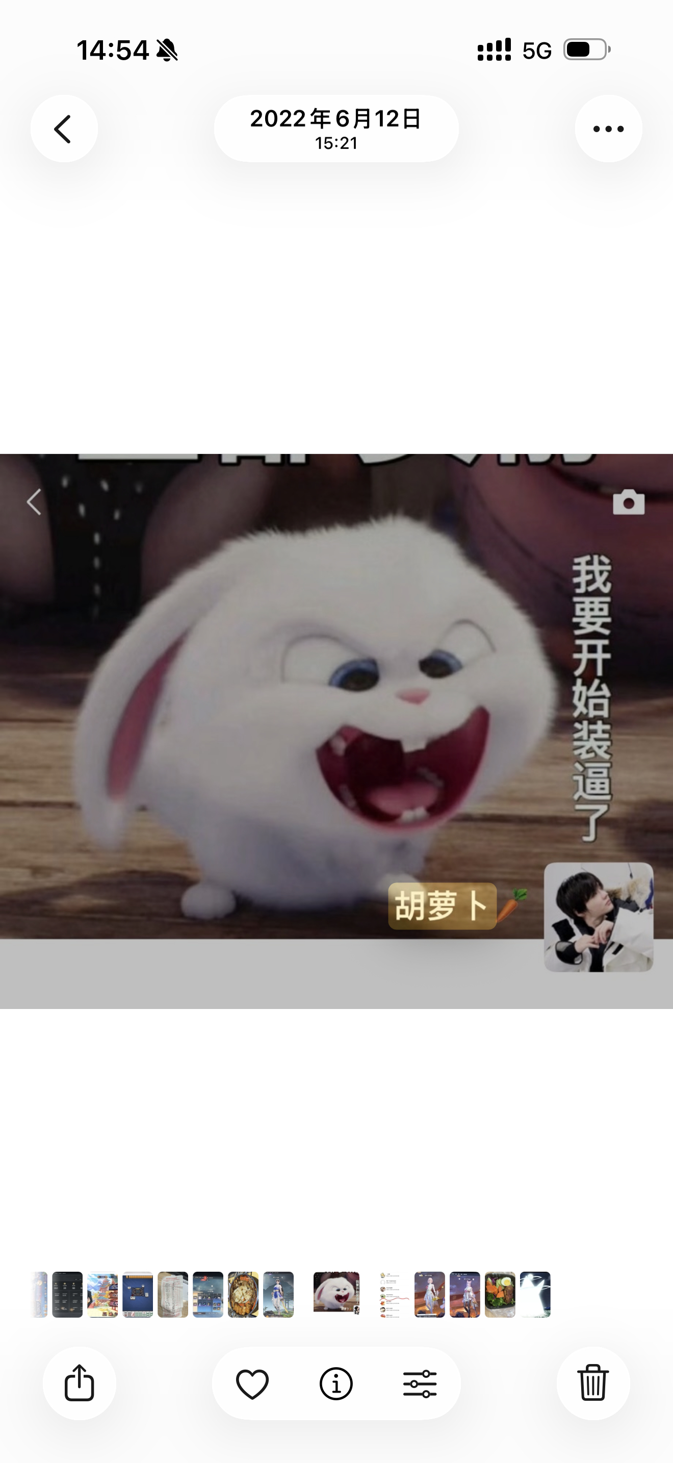 胡萝卜🥕就该跟狐兔是一家啊