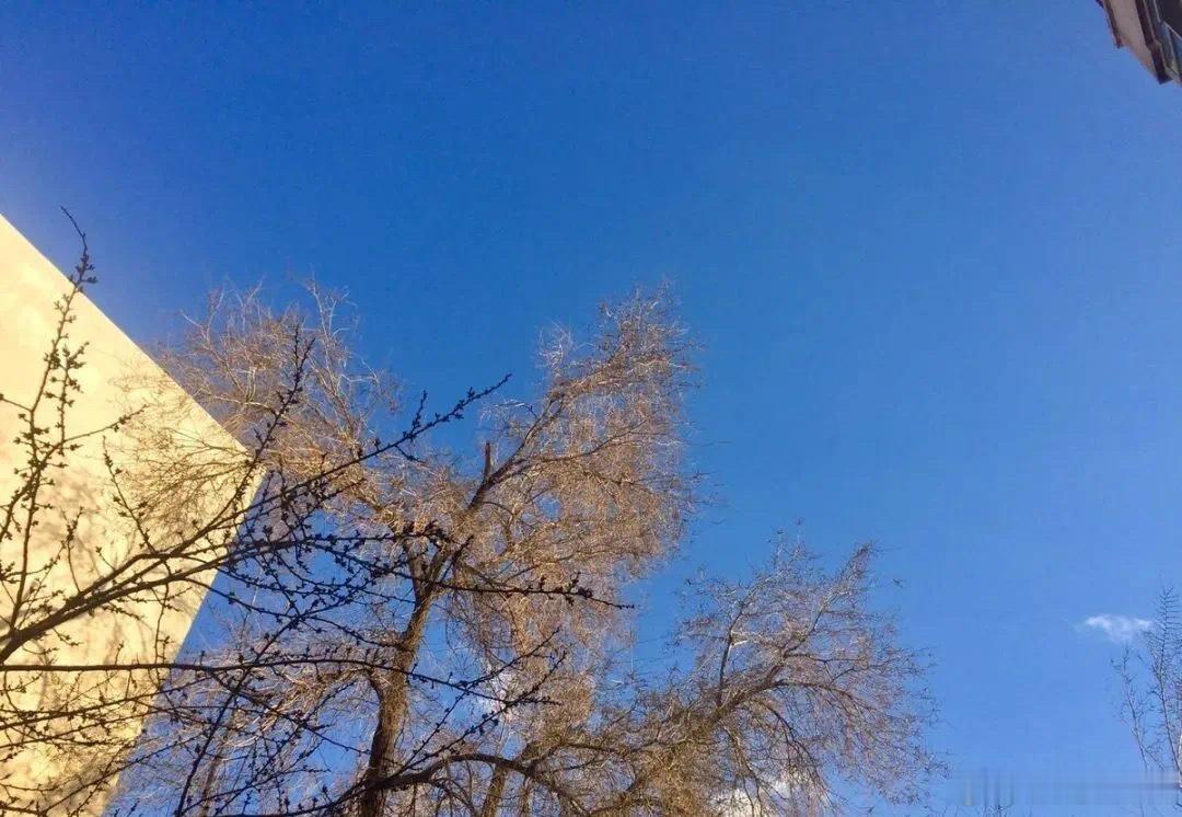 心墙之内·默斋主人原创散文诗你的欢喜曾颤巍巍立在晨光里，如新叶承住朝露，剔透又易
