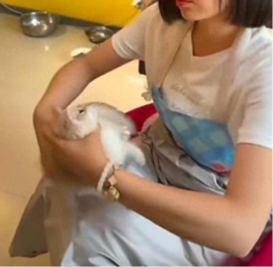 心情不好就能害性命么？女子猫咖店虐猫，导致4只奶猫死亡，店长已报警

 
这两天