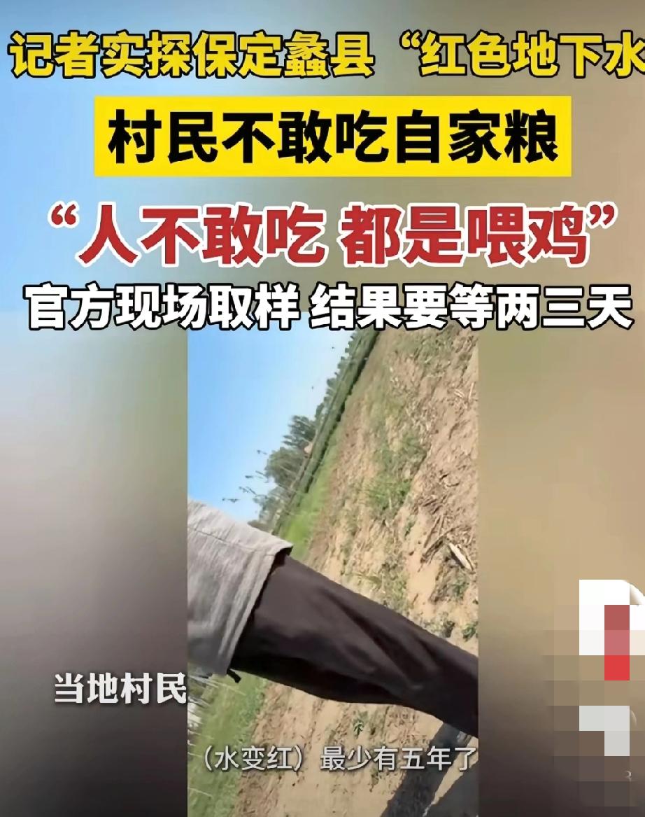 “红茶”水浇了麦子，
麦子收了后种麦人不敢吃给鸡吃，
那鸡吃了后下的蛋和鸡肉同样