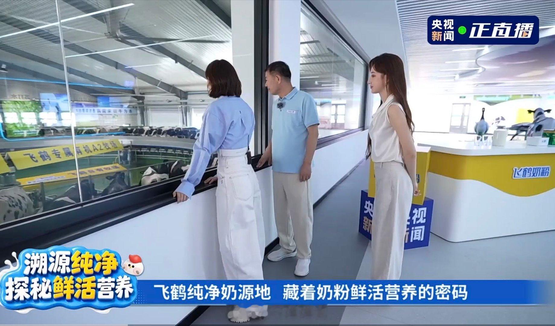 唐艺昕在齐齐哈尔原谅了心愿便利贴唐艺昕终于原谅心愿便利贴了心愿便利贴的风吹到齐齐