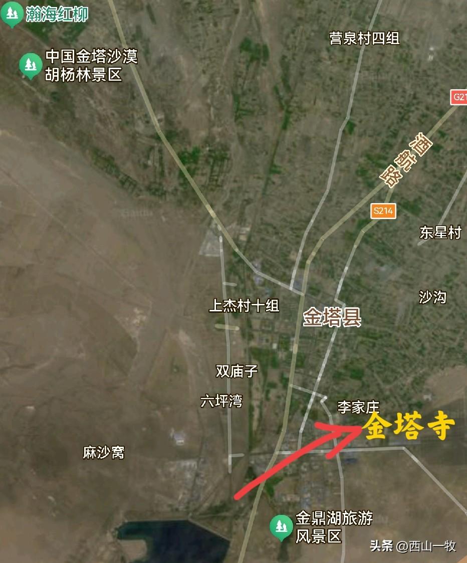 有一年去酒泉卫星发射中心旅游的时候，路过金塔县，住了一晚，顺便去了著名的胡杨林。