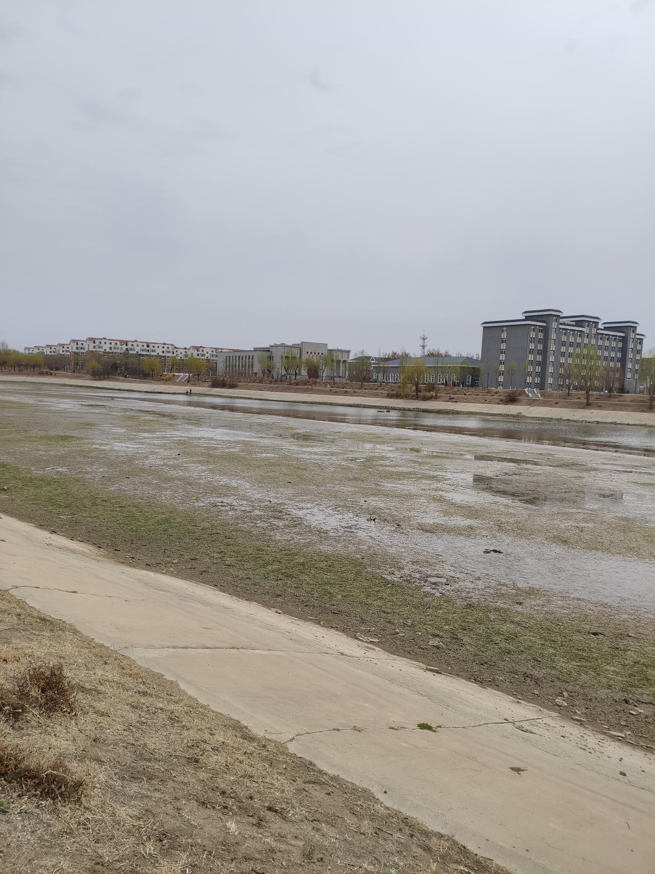 原铁路医院后面的这段细河大坝风光是我最喜欢的。河水充盈清澈，两岸桃红柳绿。每年这