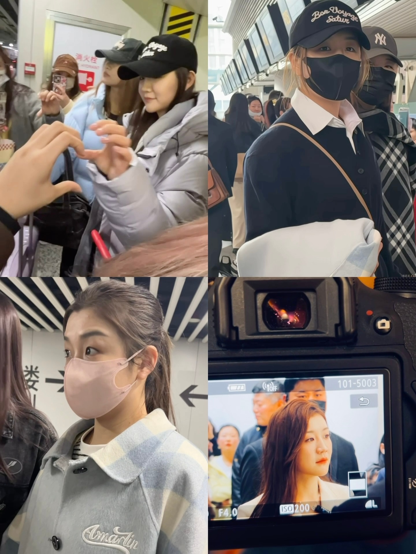 爱你陈梦 明年见