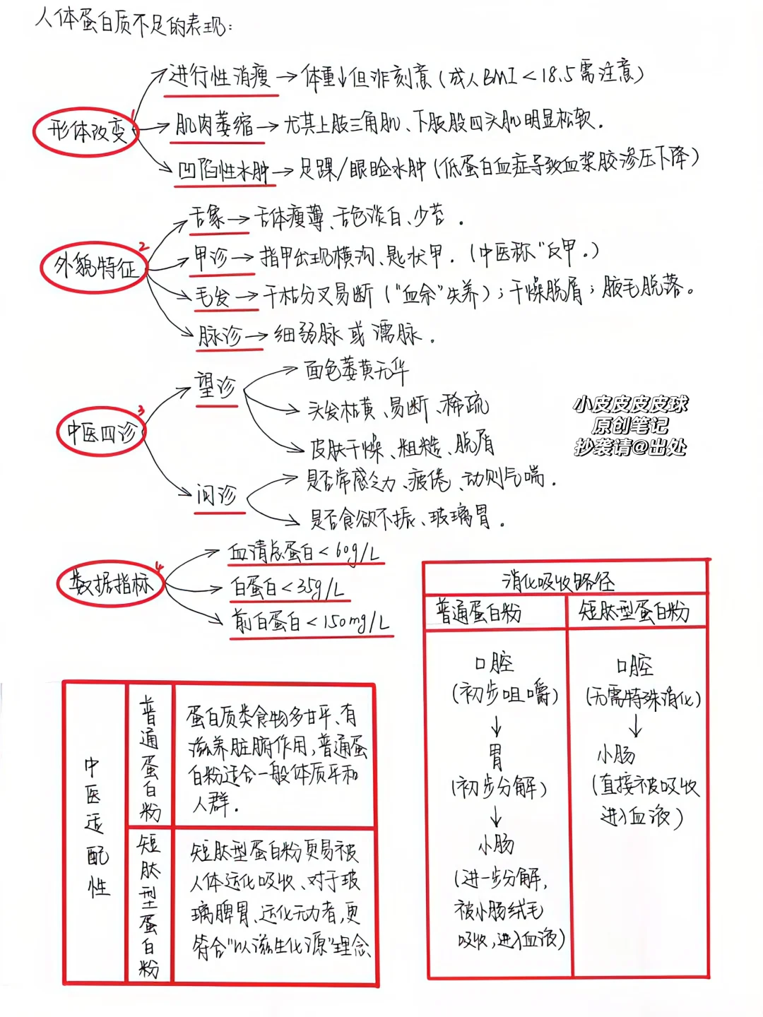 从中医角度，如何判断人体是否缺乏蛋白质？