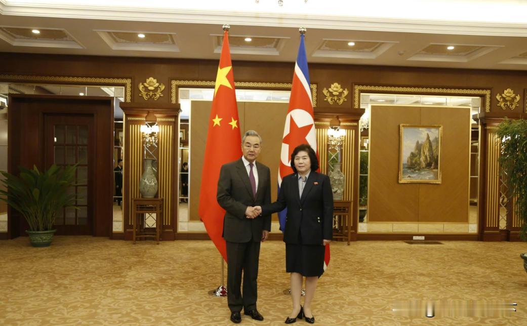 中朝谈妥！这波共识，才是最实在的希望。

4月9日，中国外交部长王毅在平壤锦绣山