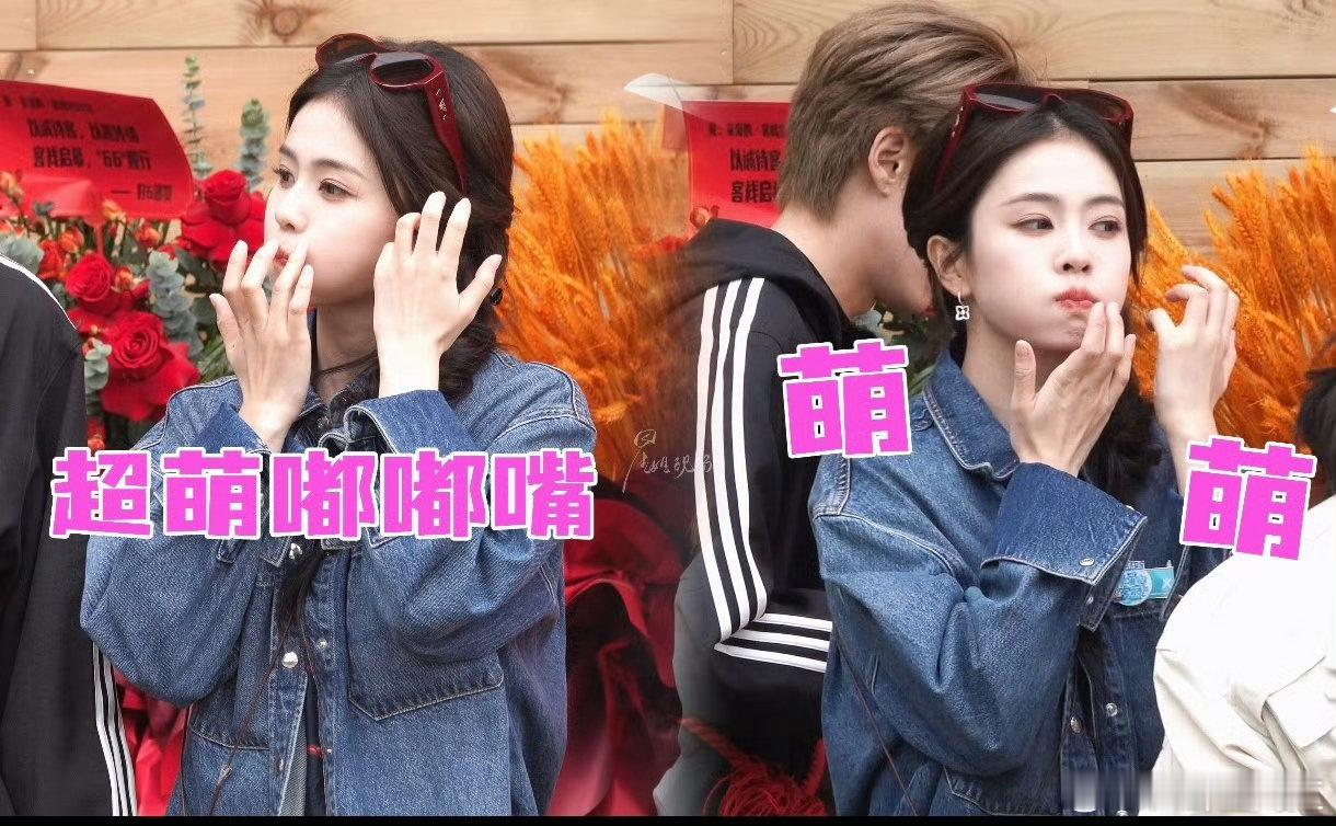 王鹤棣王鹤棣白鹿买了一车东西亲爱的客栈2026王鹤棣白鹿客栈采购路透，休闲穿搭超