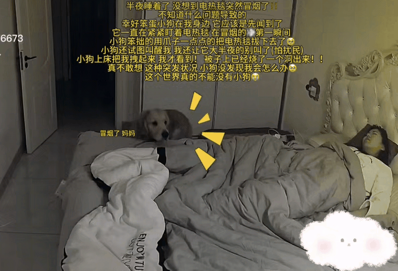 这只吉林金毛太神了！
用生命唤醒主人，才懂什么是双向奔赴的爱！女子熟睡中被狗狗反