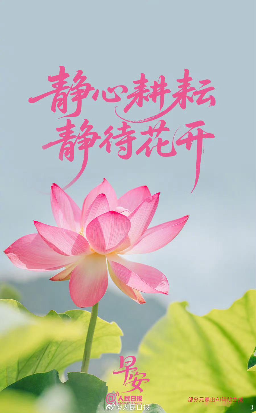 【允许自己做一朵晚开的花】每朵花都有自己的花期，有的夏日绽放，有的深秋盛开。人生