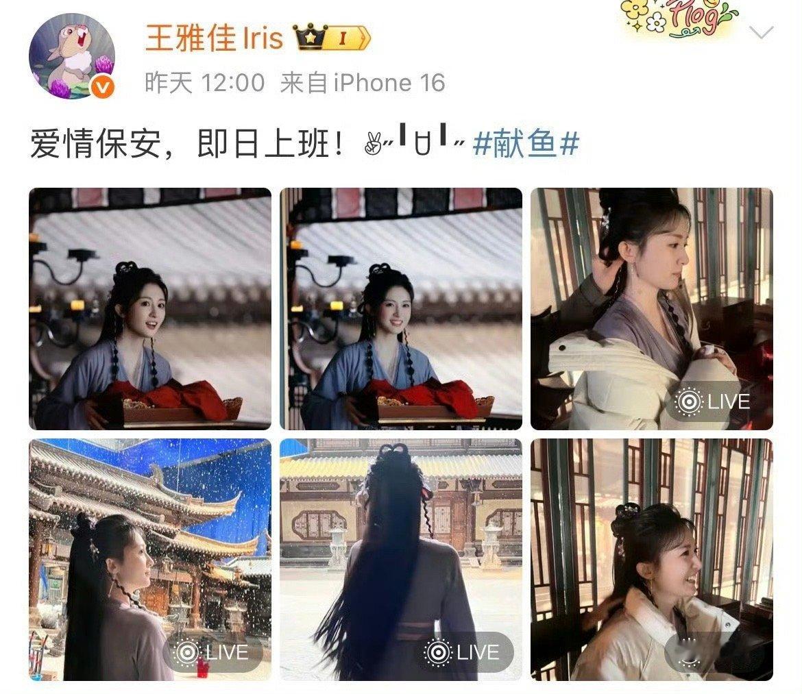 这个家没了彼岸都得散 彼岸在，这故事才能顺顺走！停雁失忆她是线索库，师祖付出她是