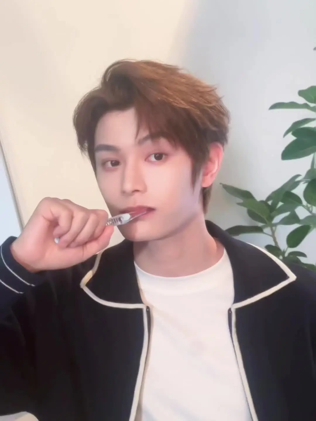 我们一起刷牙牙