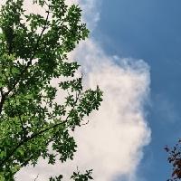 我的今日状态：😁轻松愉快
我这里的天气：☀️晴天

今天又是大晴天，蓝天白云，