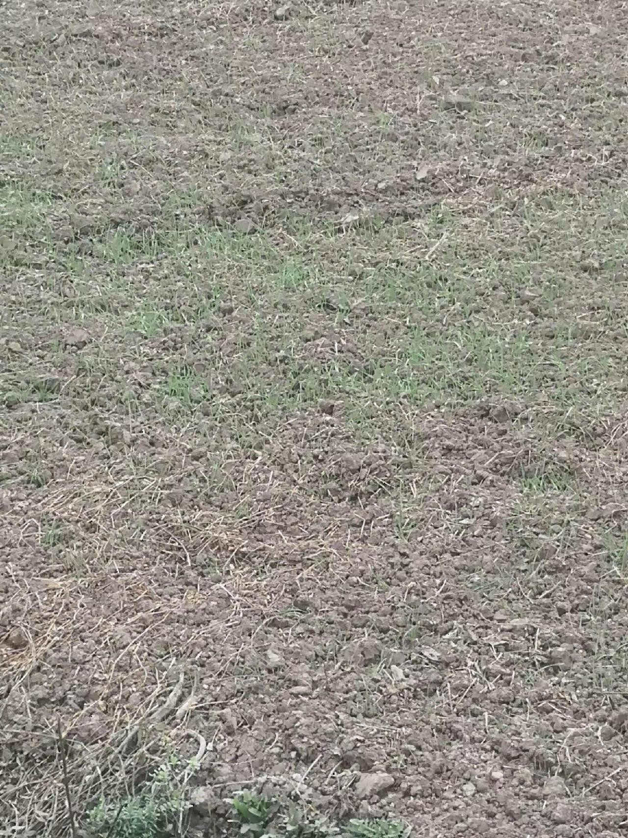 农村生活在农村生活 农活日常 农村人 农村人的生活