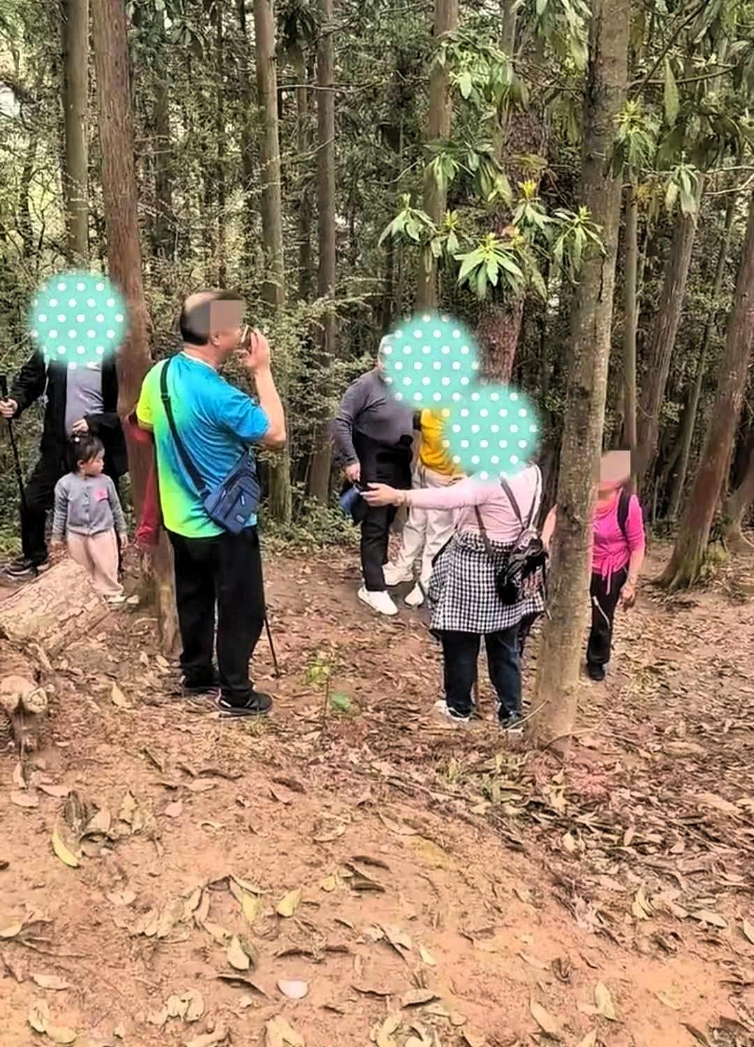 几名老人徒步去爬南昌老四坡，爬到半山腰时，一位老太太出现体力不支，只能倚靠在树干