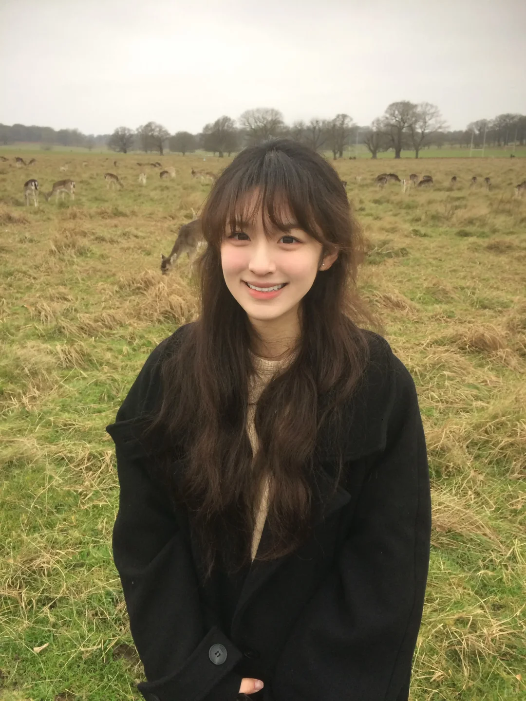 看小鹿🦌