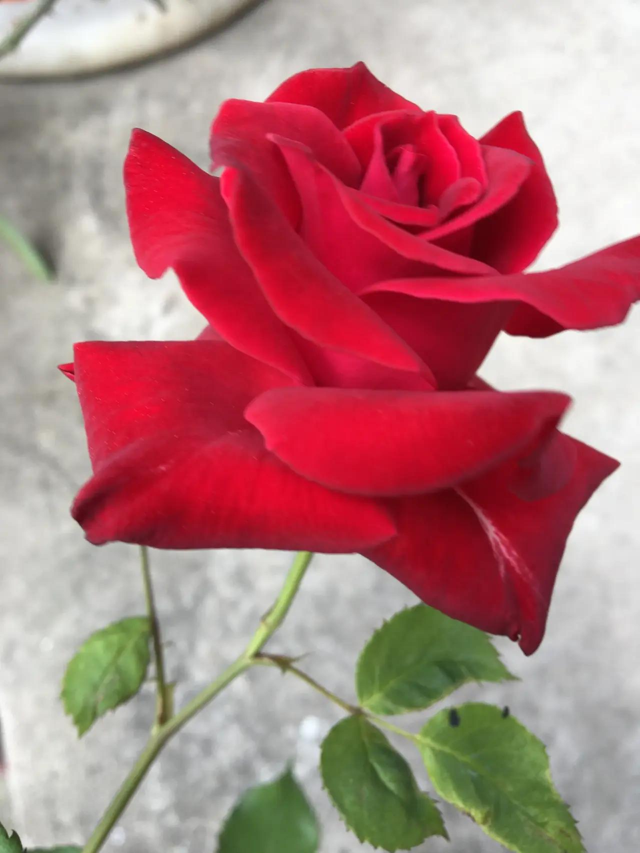 买房不是娶新娘
一手总比二手强
有钱还是多存点
抚养儿女孝爹娘