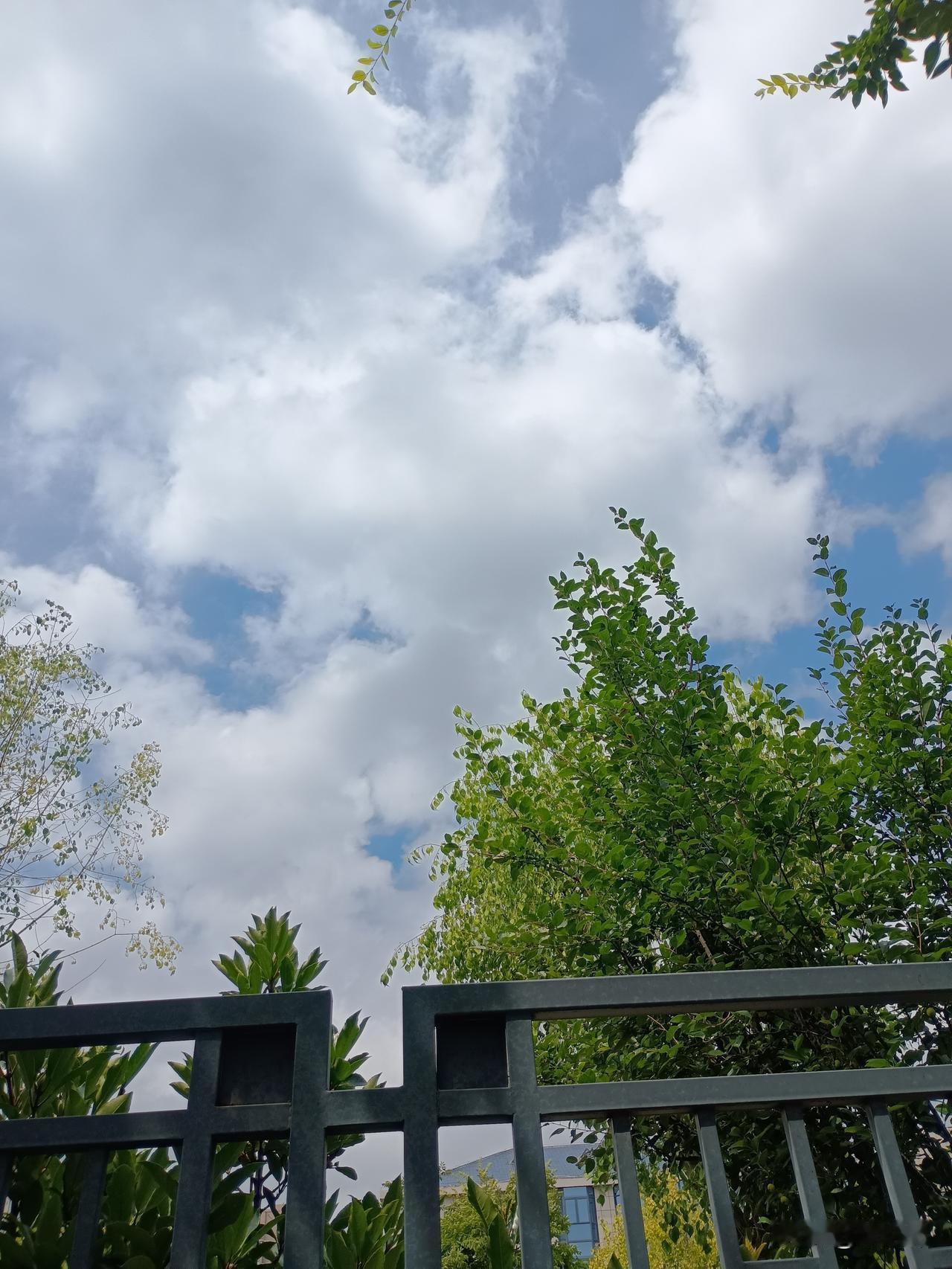 七绝｜八月台风雨吟
雨骤云灰水渺茫，
阴晴跌宕夜沧桑。
楼层甚是天昏暗，
遍地狼