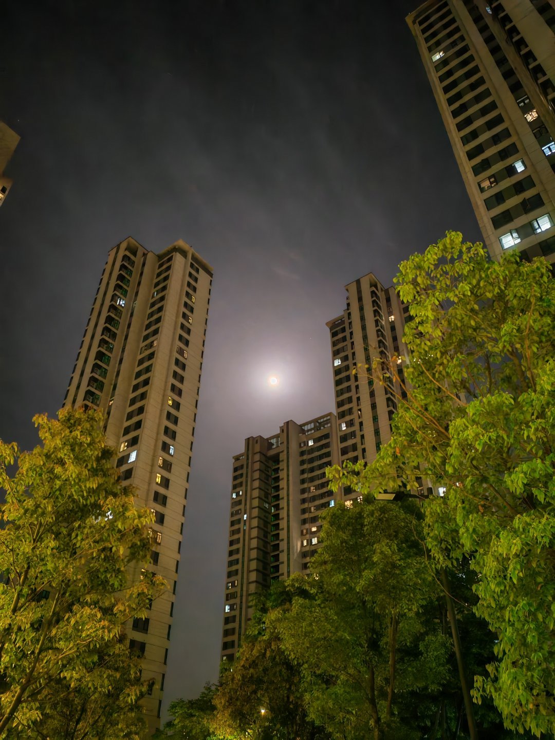 我是想睡的，可是今天这月亮🌝王怀民！！！王怀民！！！转一会就回去了。 ​​​