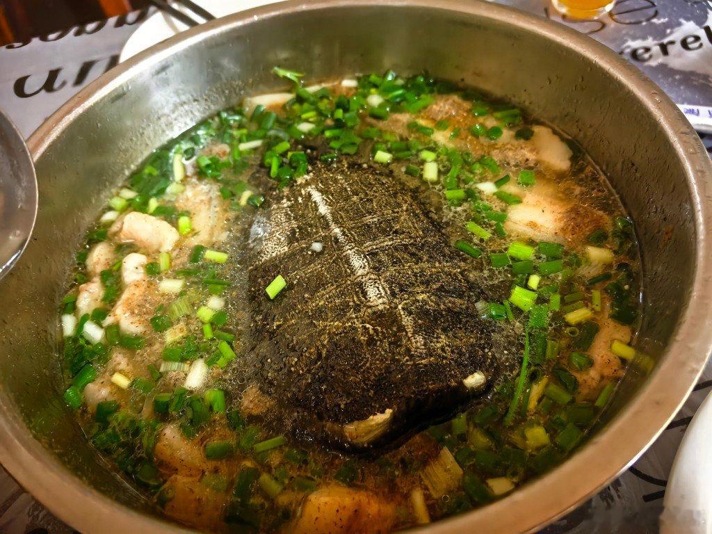 找了一家甲鱼特色店，清真的，就是五花肉和胡椒 ​​​