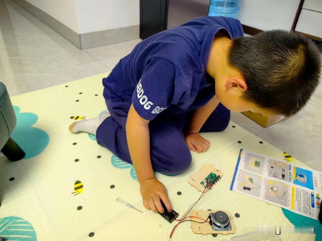 我没直接给孙子买现成收音机，反而选了拼装套件，道理藏在小事里
 
小孙子一直想要